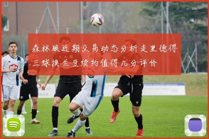 森林狼近期交易动态分析走里德得三球换兰豆续约值得几分评价